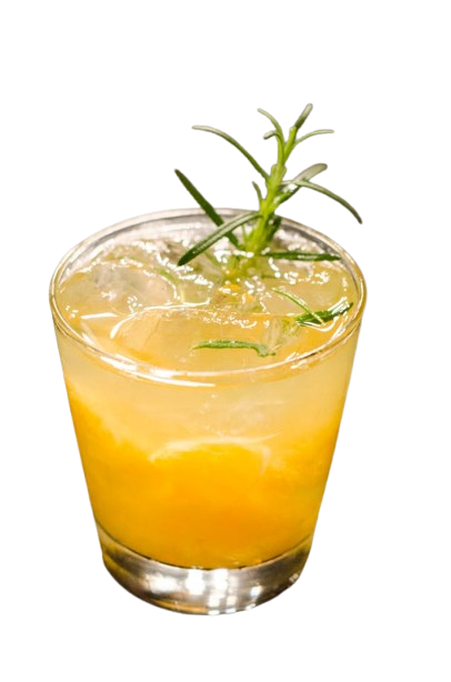 drinks restaurante modelo